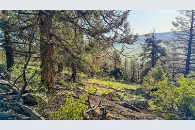 4924 Middle Fork Vista, Fairplay, CO 80440 - Photo 24