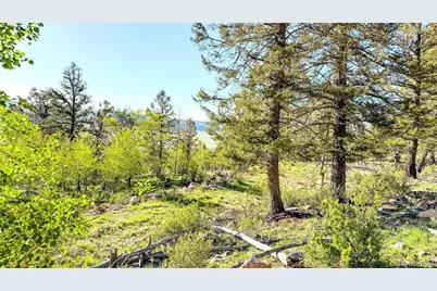 4924 Middle Fork Vista, Fairplay, CO 80440 - Photo 36