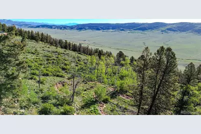 4924 Middle Fork Vista, Fairplay, CO 80440 - Photo 6
