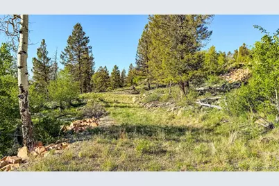 4924 Middle Fork Vista, Fairplay, CO 80440 - Photo 2