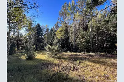 14710 Quartz Circle, Salida, CO 81201 - Photo 6