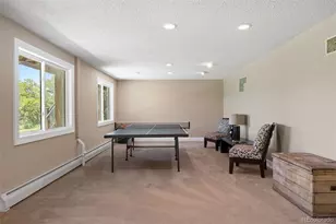 390 Suffolk Ln, Castle Rock, CO 80108 - Photo 38