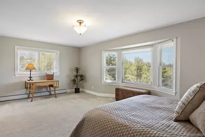 390 Suffolk Lane, Castle Rock, CO 80108 - Photo 24