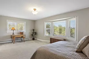 390 Suffolk Ln, Castle Rock, CO 80108 - Photo 24
