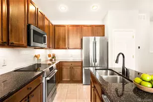 2388 Xanthia Way, Denver, CO 80238 - Photo 8