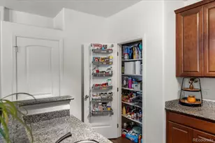 803 E 98th Ave, Denver, CO 80229 - Photo 14
