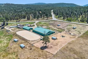 23615 Oehlmann Park Rd, Conifer, CO 80433 - Photo 1
