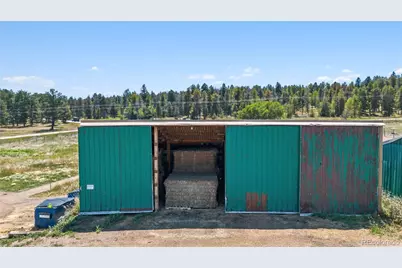 23615 Oehlmann Park Road, Conifer, CO 80433 - Photo 44