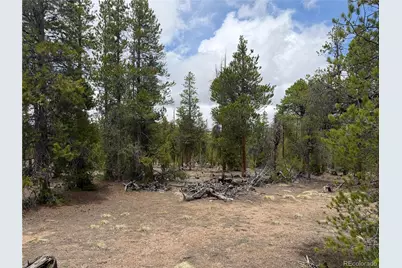 341 Lodgepole Drive, Leadville, CO 80461 - Photo 4