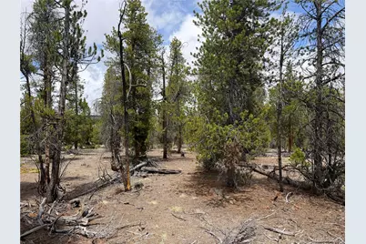 341 Lodgepole Drive, Leadville, CO 80461 - Photo 2