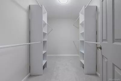 407 Double Tree Drive, Greeley, CO 80634 - Photo 22