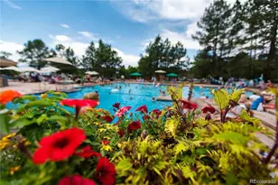 3202 Country Club Pkwy, Castle Rock, CO 80108 - Photo 28