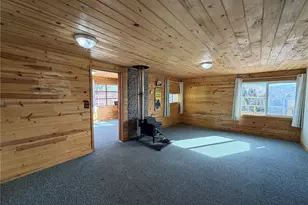 587 Willow St, Hartsel, CO 80449 - Photo 28