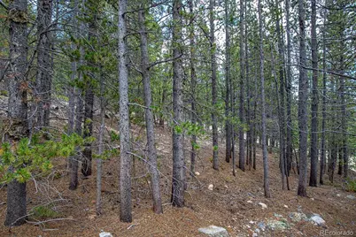 Lot 836 Nebraska Drive, Idaho Springs, CO 80452 - Photo 40