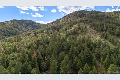 15947 S Perry Park Road, Palmer Lake, CO 80133 - Photo 16