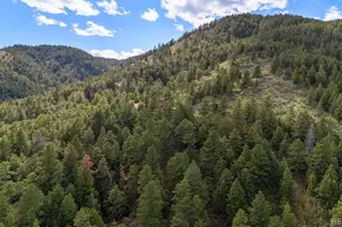 15947 S Perry Park Rd, Palmer Lake, CO 80133 - Photo 16