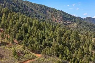 15947 S Perry Park Rd, Palmer Lake, CO 80133 - Photo 14
