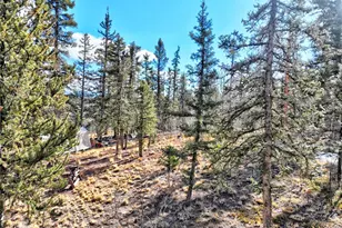 45 Swiggler Ct, Jefferson, CO 80456 - Photo 42