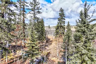 45 Swiggler Ct, Jefferson, CO 80456 - Photo 32
