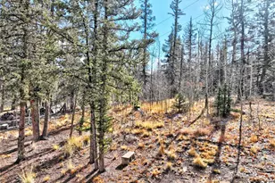 45 Swiggler Ct, Jefferson, CO 80456 - Photo 38