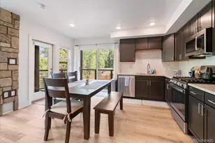 1044 Blue River Pkwy, Silverthorne, CO 80498 - Photo 10