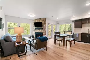 1044 Blue River Pkwy, Silverthorne, CO 80498 - Photo 4