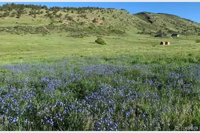 223 Stone Canyon Road, Lyons, CO 80540 - Photo 6