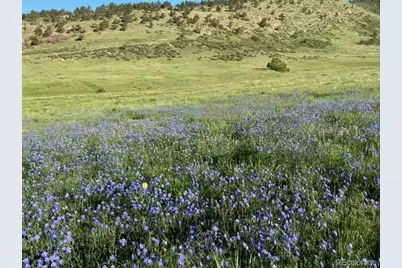 223 Stone Canyon Road, Lyons, CO 80540 - Photo 20