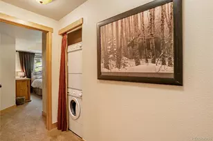 15 Discovery Ln, Fraser, CO 80442 - Photo 32