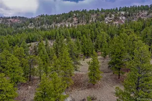 39609 US Hwy 24, Lake George, CO 80827 - Photo 32