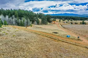 39609 US Hwy 24, Lake George, CO 80827 - Photo 40