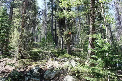 00 Sunflower Road, Black Hawk, CO 80422 - Photo 6
