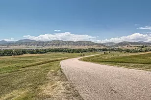 7457 Whiteclover Trl, Littleton, CO 80125 - Photo 6