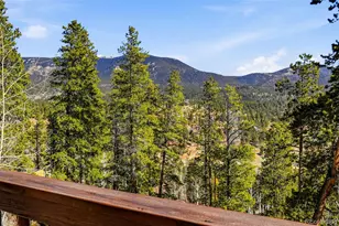 610 Gold Flake Terrace, Bailey, CO 80421 - Photo 30