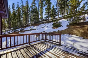 610 Gold Flake Terrace, Bailey, CO 80421 - Photo 32