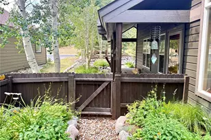 102 Blue Grouse Ln, Silverthorne, CO 80498 - Photo 20