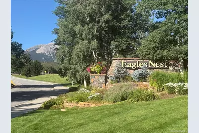 102 Blue Grouse Lane, Silverthorne, CO 80498 - Photo 32