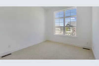 389 Basin Daisy Street, Castle Rock, CO 80104 - Photo 22