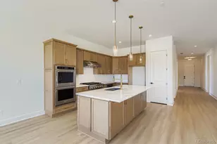 389 Basin Daisy St, Castle Rock, CO 80104 - Photo 8