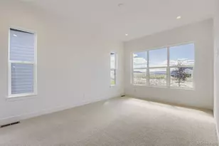 389 Basin Daisy St, Castle Rock, CO 80104 - Photo 18