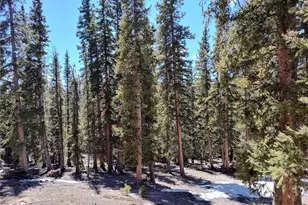 226 Pine Cone Way, Fairplay, CO 80440 - Photo 40