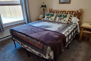 226 Pine Cone Way, Fairplay, CO 80440 - Photo 20