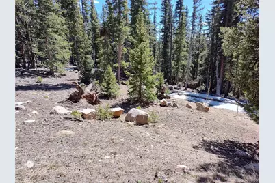 226 Pine Cone Way, Fairplay, CO 80440 - Photo 38