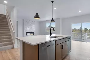 13973 Beebalm Trl, Parker, CO 80134 - Photo 4