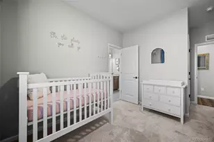 15988 E 113th Ct, Commerce City, CO 80022 - Photo 24