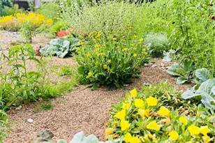 3413 Oregon Trail, Fort Collins, CO 80526 - Photo 30