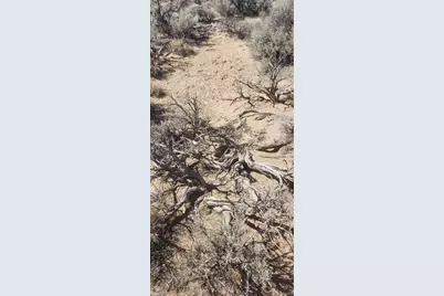 Lot 589 County Lane 6, Fort Garland, CO 81133 - Photo 10