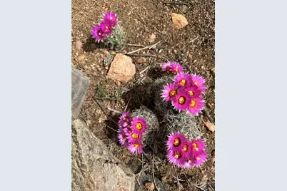 4351 County Road 12, Cotopaxi, CO 81223 - Photo 12