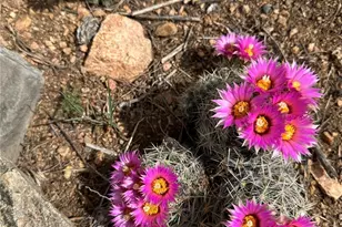 4351 Co Rd 12, Cotopaxi, CO 81223 - Photo 12