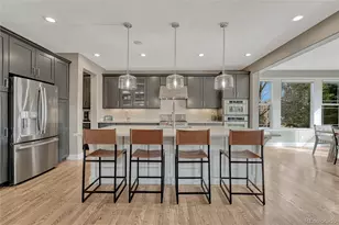 10482 Marigold Ct, Highlands Ranch, CO 80126 - Photo 4